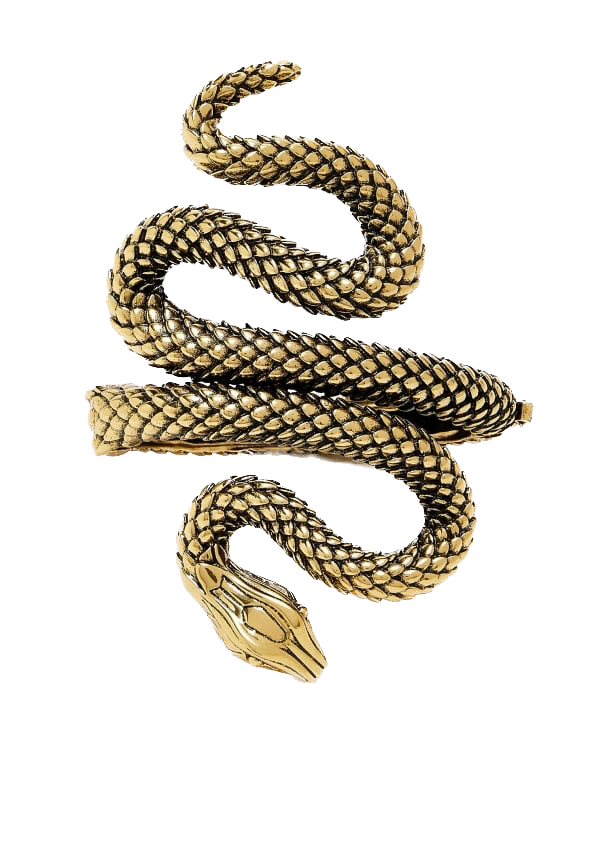 CHLOE - MANCHETTE SNAKE